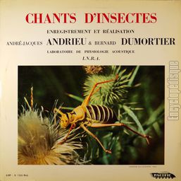 [Pochette de Chants d’insectes]