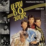 [Pochette de Pourquoi pas fou]