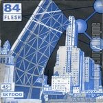 [Pochette de 84 FLESH   Saltez city / Section ]