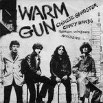 [Pochette de WARM GUN]