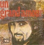 [Pochette de Un grand amour (Danyel GRARD)]