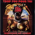 [Pochette de Trop fou pour toi]