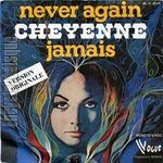 [Pochette de Never again]