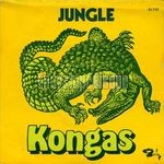 [Pochette de Jungle]