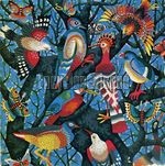 [Pochette de Francis et les oiseaux]