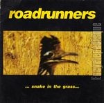 [Pochette de ROADRUNNERS  …snake in the grass… ]