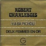 [Pochette de Y a sa pichou]