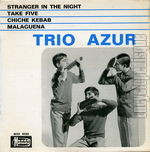 [Pochette de Stranger in the night]