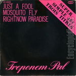 [Pochette de Just a fool]