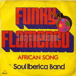 [Pochette de Funky flamenco]