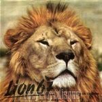 [Pochette de Lion 67]