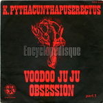 [Pochette de Voodoo juju obsession]