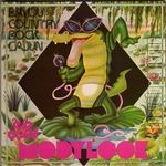 [Pochette de Bayou country rock cajun]