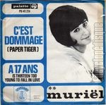 [Pochette de C’est dommage (paper tiger)]