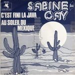 [Pochette de C’est fini la java]