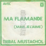 [Pochette de Avec ma Flamande]