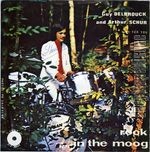 [Pochette de Rook in the moog]