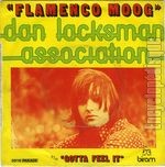 [Pochette de Flamenco moog]