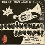 [Pochette de Big fat man]