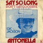 [Pochette de Say so long, don’t say goodbye]