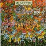 [Pochette de Microcorock]