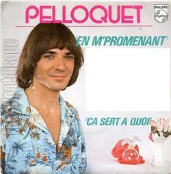 [Pochette de En m’promenant (Philippe PELLOQUET)]