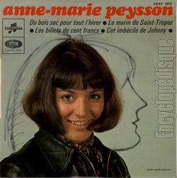 [Pochette de Du bois sec pour tout l’hiver (Anne-Marie PEYSSON)]