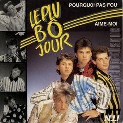 [Pochette de Pourquoi pas fou (Le PLU B JOUR)]