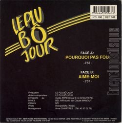 [Pochette de Pourquoi pas fou (Le PLU B JOUR) - verso]