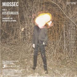 [Pochette de Les cailles (MIOSSEC)]