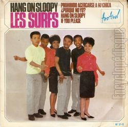 [Pochette de Hang on Sloopy (Les SURFS)]