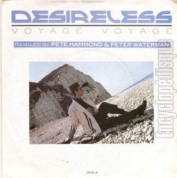 [Pochette de Voyage voyage ( remix ) (DESIRELESS)]