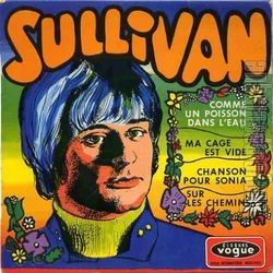 [Pochette de Comme un poisson dans l’eau (SULLIVAN)]