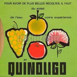 [Pochette de Quinoligo (PUBLICIT)]