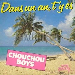 [Pochette de Dans un an t’y es (Les CHOU-CHOU BOYS)]