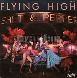 [Pochette de Flying high (SALT & PEPPER)]