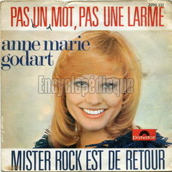 [Pochette de Pas un mot, pas une larme (Anne-Marie GODART)]