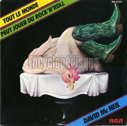 [Pochette de Tout le monde peut jouer du rock’n’roll (David Mc NEIL)]