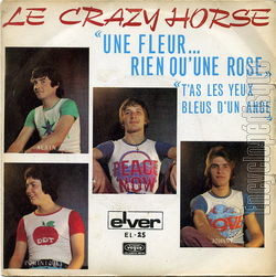 [Pochette de Une fleur, rien qu’une rose (CRAZY HORSE)]