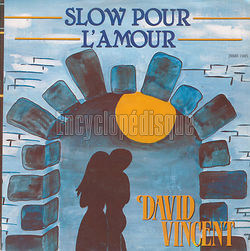 [Pochette de Slow pour l’amour / Maison du bonheur (David VINCENT (2))]