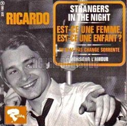 [Pochette de Strangers In The Night (RICARDO)]