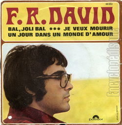 [Pochette de Bal, joli bal (F.R. DAVID)]