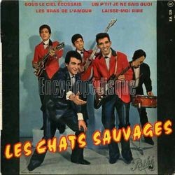 [Pochette de Sous le ciel cossais (Les CHATS SAUVAGES)]