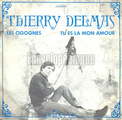 [Pochette de Les cigognes (Thierry DELMAS)]