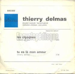 [Pochette de Les cigognes (Thierry DELMAS) - verso]