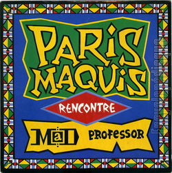 [Pochette de Le grand mystre (PARIS MAQUIS rencontre MAD PROFESSOR)]