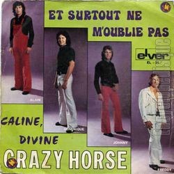 [Pochette de Et surtout ne m’oublie pas (CRAZY HORSE)]