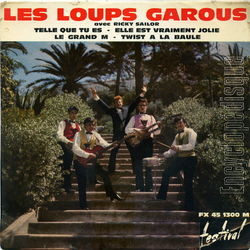 [Pochette de Telle que tu es (Les LOUPS GAROUS)]