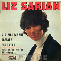 [Pochette de Dis-moi mamie (Liz SARIAN)]