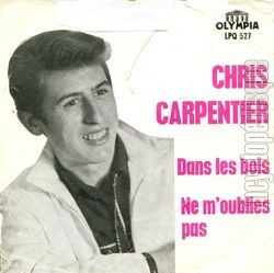 [Pochette de Dans les bois (Chris CARPENTIER)]